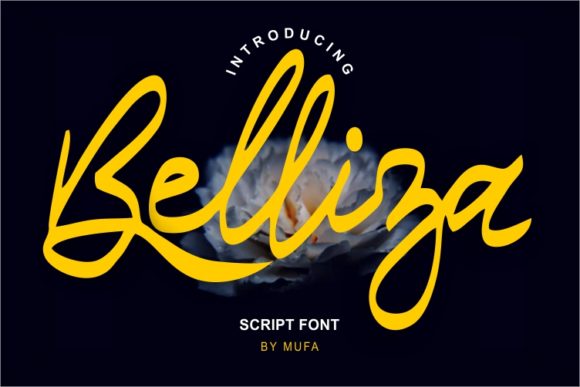 Belliza: A Script Amp Review