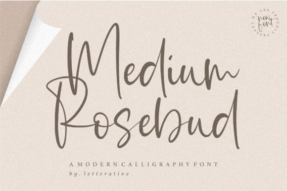 Medium Rosebud: A Handwritten Font for Creative Branding