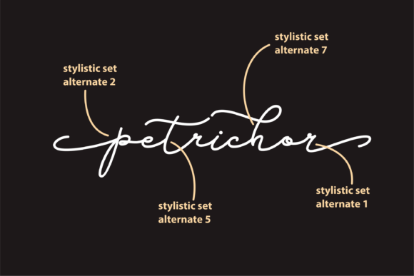 Petrichor: A Delicate Script Font