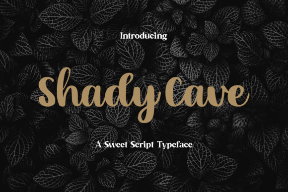 Shady Cave: A Relaxed Script for Creative Projects