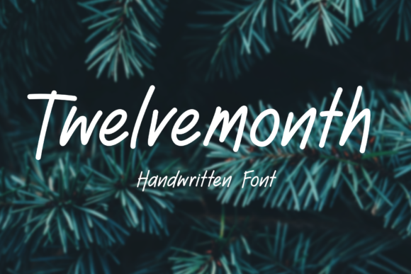Twelve Month Font: Elegant Script for Digital Marketing
